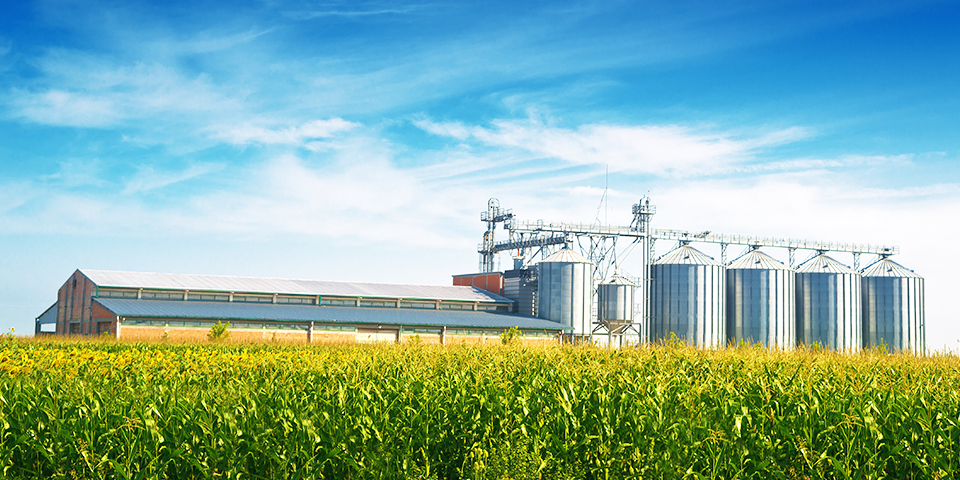 FAMI-QS Safeguarding the Future of the Feed Supply Chain