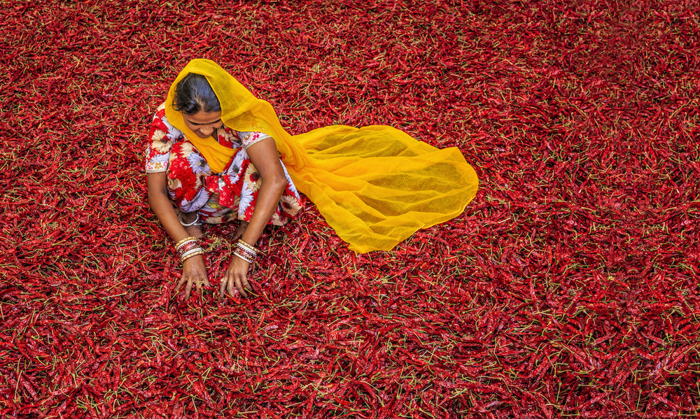 Webinar social audits smeta