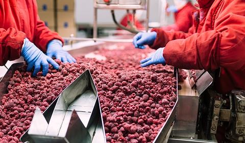Remote audits for food health and safety