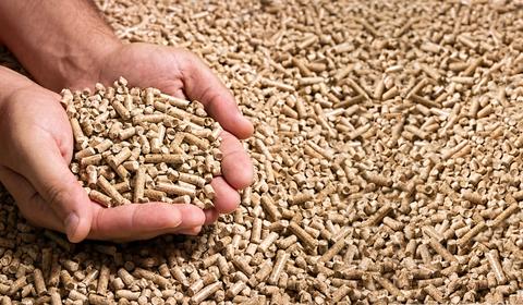 Sourcing and implementing clean bioenergy