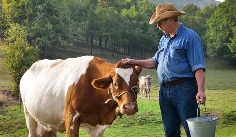 How the food industry can strengthen its commitment to animal welfare