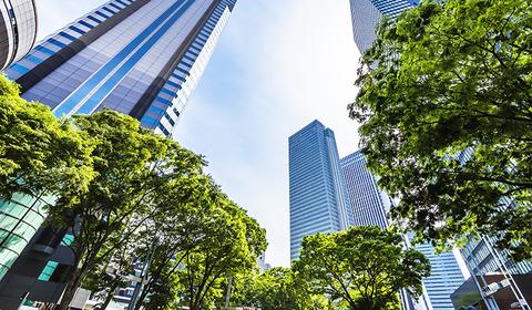 SMEs focus on environmental management to win customer trust
