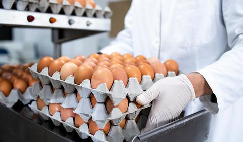 World Food Safety Day 2024