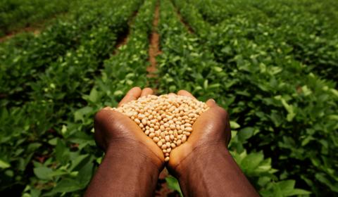 ISO/CD 20001.2: A New Global Standard to Tackle Food Waste 