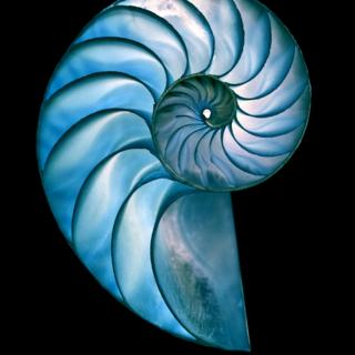 Circular Economy Survey