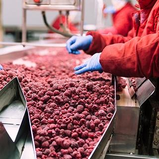 Remote audits for food health and safety