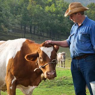 How the food industry can strengthen its commitment to animal welfare