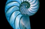 Circular Economy Survey