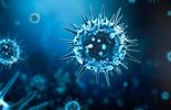 Bureau Veritas’ Biosafety Certification