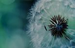 Clarity webinar