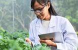 Geneticists, biologists, and scientists are studying the genetic structure of vegetables in a nursery