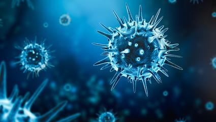 Bureau Veritas’ Biosafety Certification