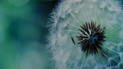 Clarity webinar