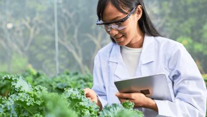 Geneticists, biologists, and scientists are studying the genetic structure of vegetables in a nursery