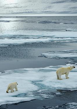 Climate Change