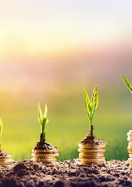 Green Finance