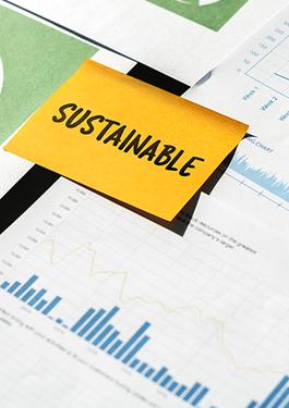 Sustainability Report Assurance