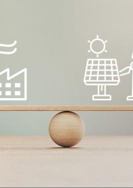 carbon offset bureau veritas