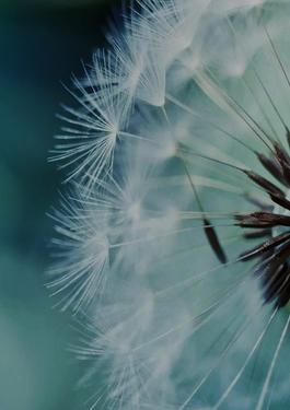Clarity webinar