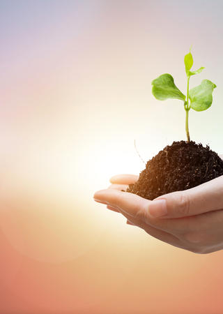 Social responsibility audits