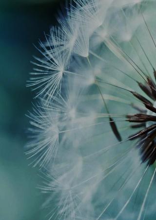 Clarity webinar