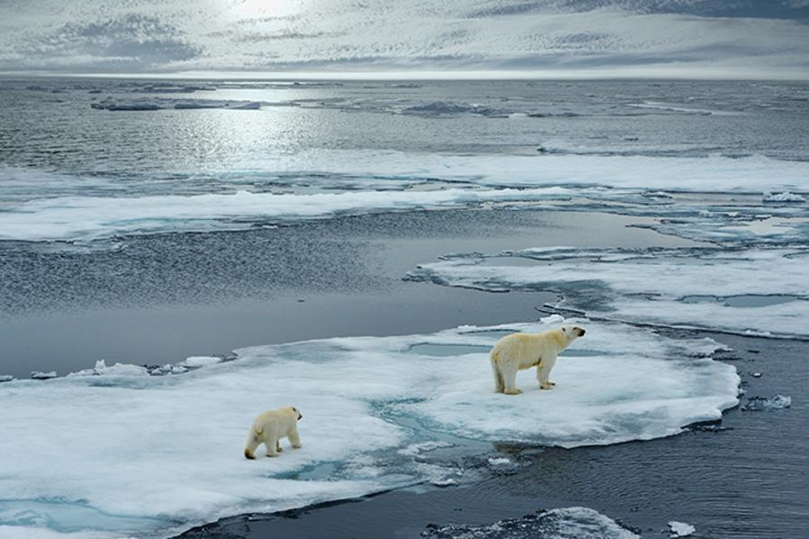 Climate Change
