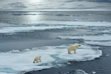 Climate Change