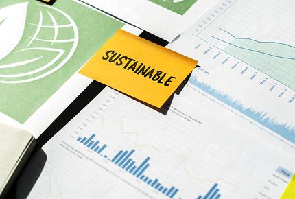 Sustainability Report Assurance