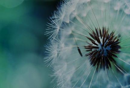 Clarity webinar