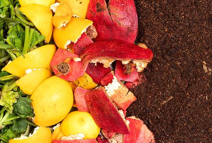 FOOD WASTE MANAGEMENT SYSTEM